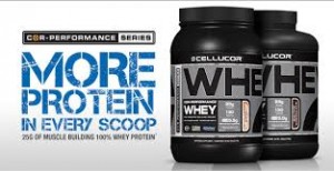 Cellucor Protein Review 1