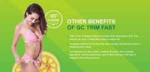 GC trim fast review 2