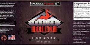 Muscle Forge X Review 3