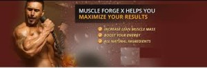 Muscle Forge X Review 4